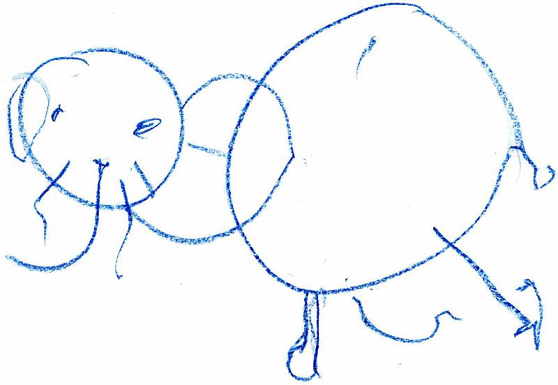 elefant 7011.jpg